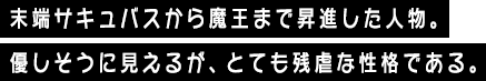 末端サキュバスから魔王まで昇進した人物。優しそうに見えるが、とても残虐な性格である。